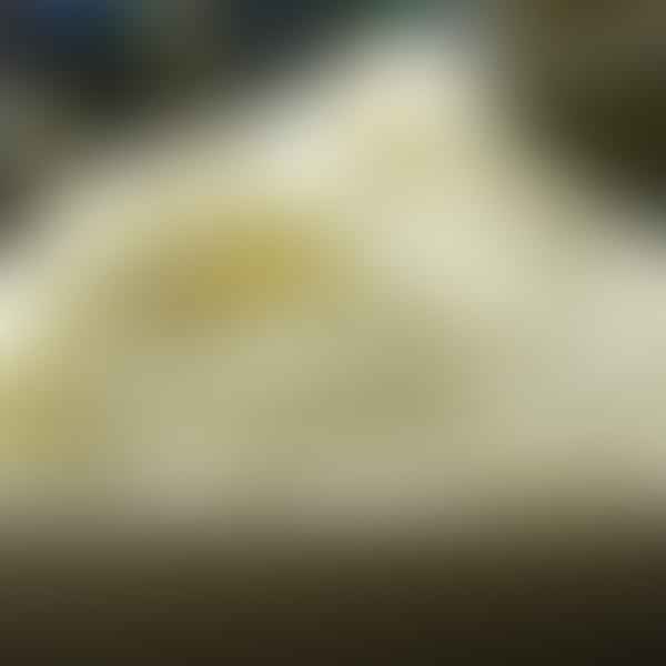 Revive the Creamy Goodness: How to Reheat Mashed Potatoes Perfectly